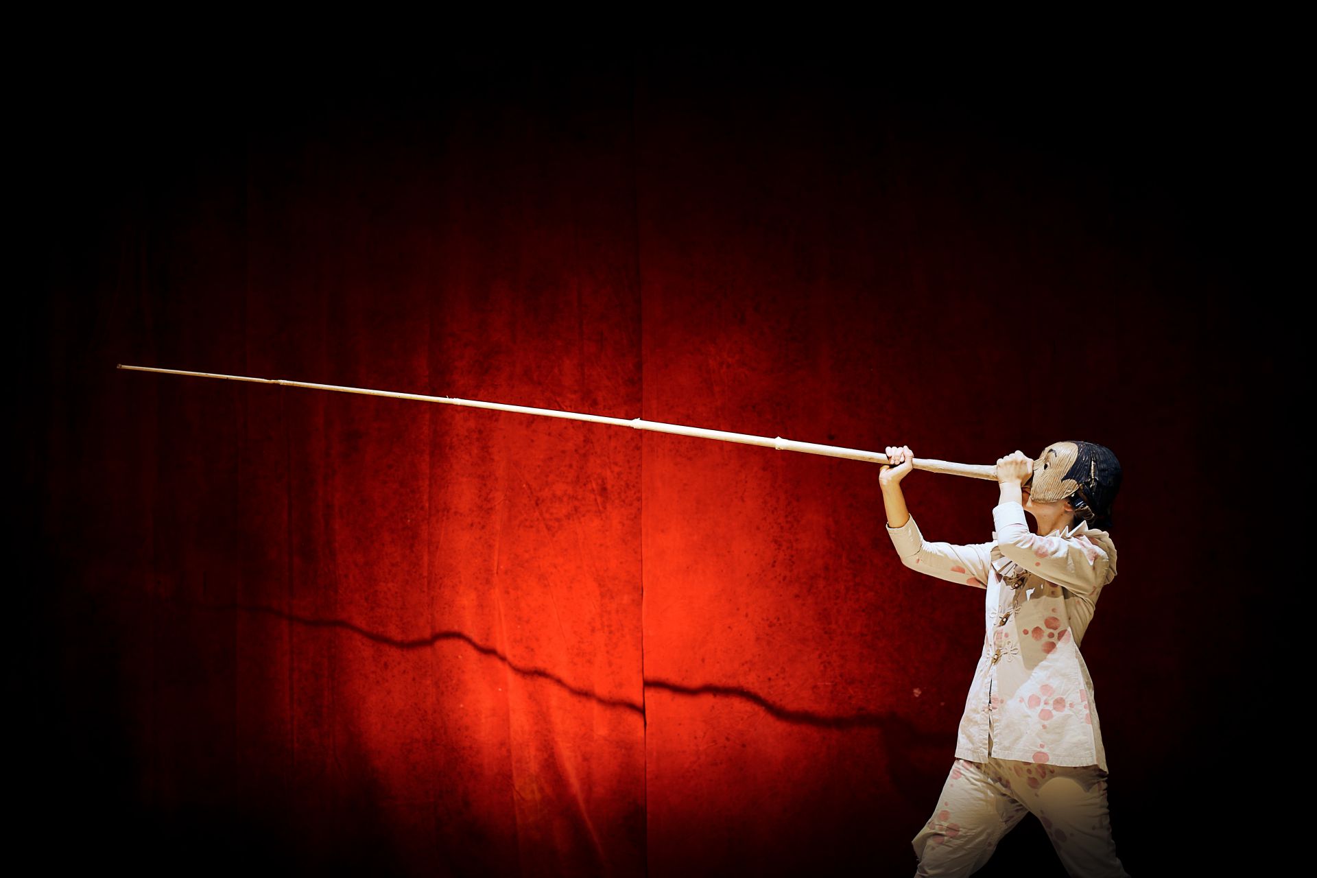 Storie in scena: PINOCCHIO, il teatro disegnato di Gek Tessaro