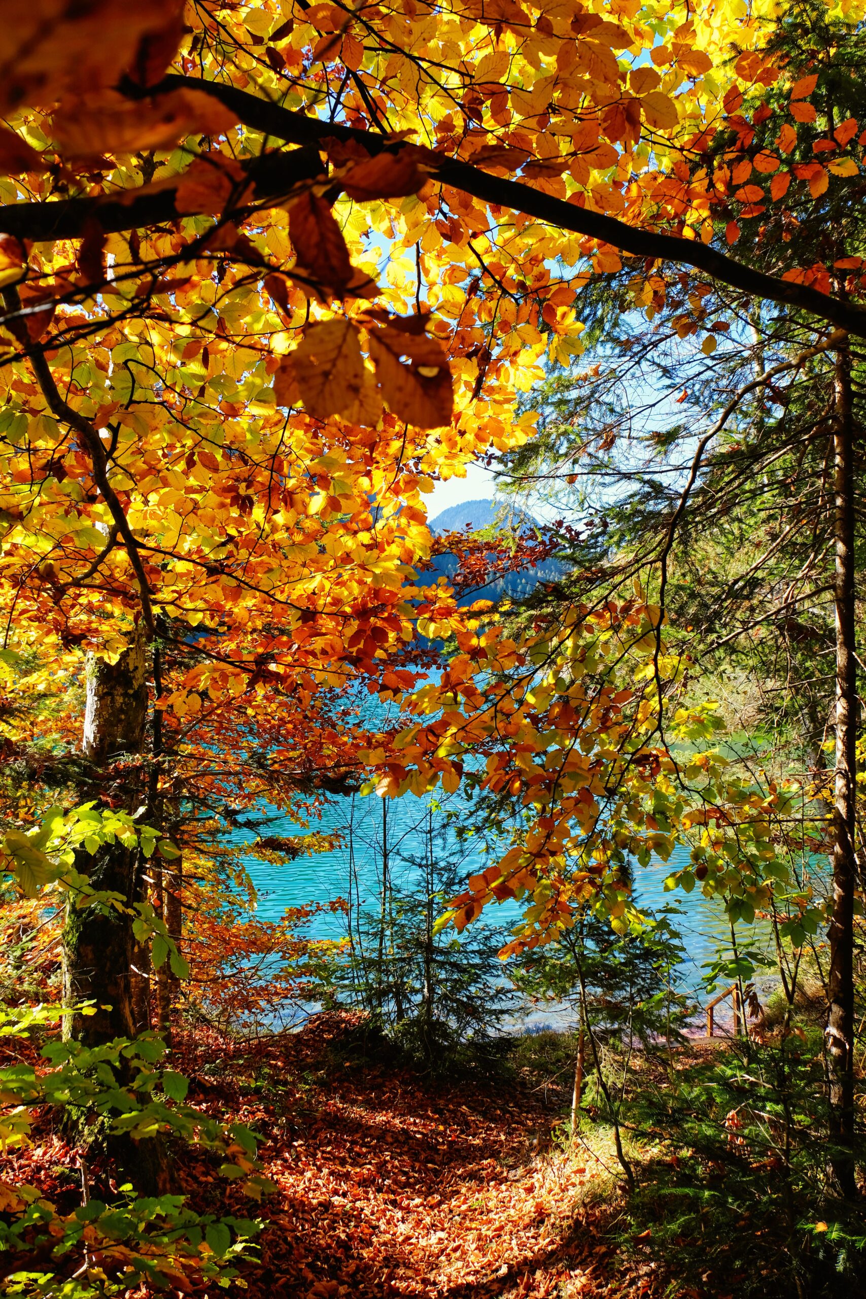 Relax d’autunno sul lago di Albano