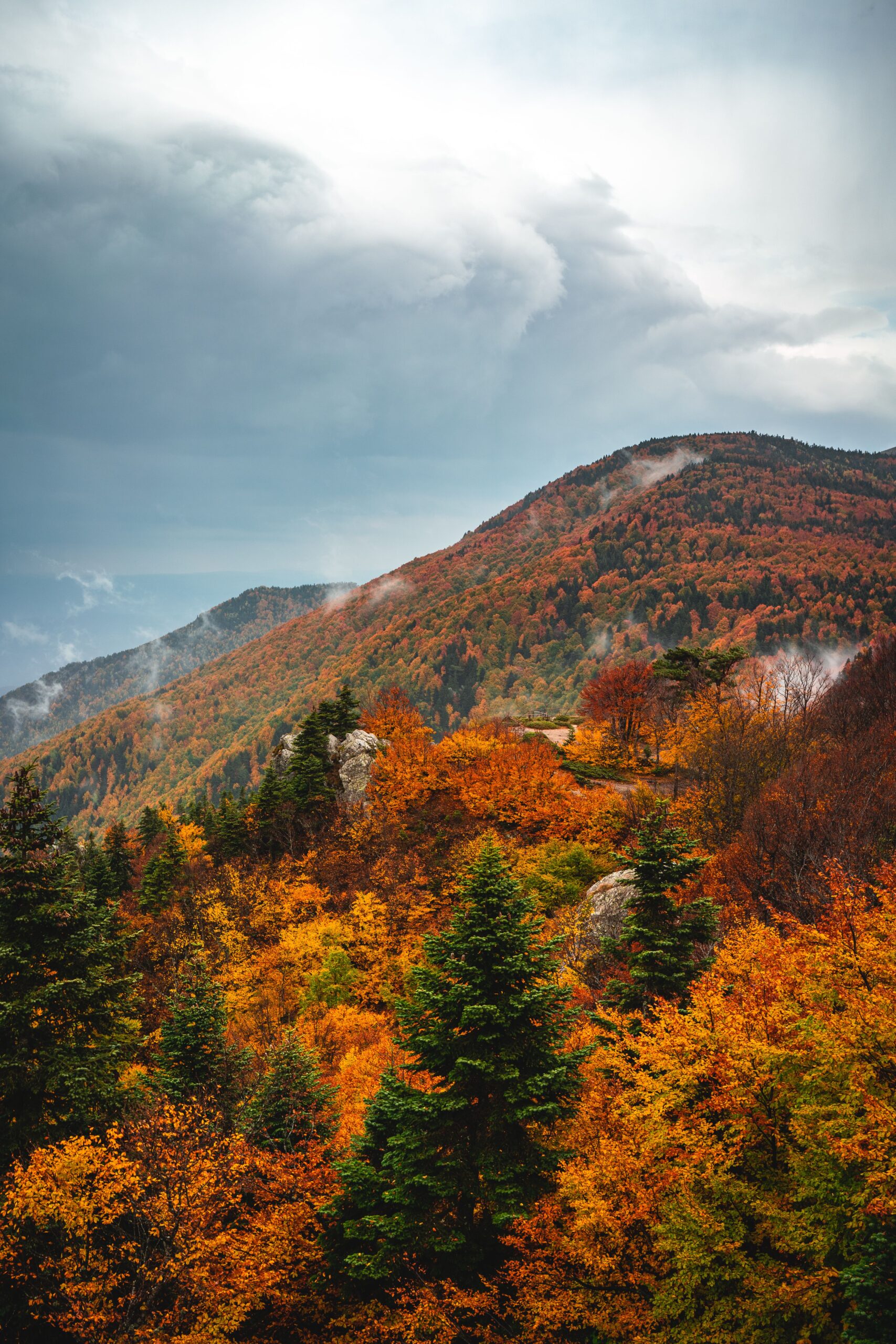 Foliage e percorsi nei Castelli Romani