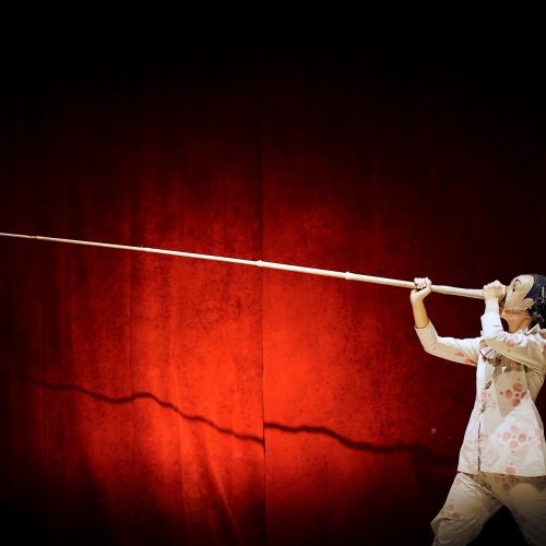 Storie in scena: PINOCCHIO, il teatro disegnato di Gek Tessaro