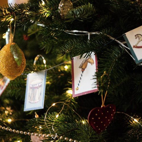 “Natale in Festa” Unisce le Ville Tuscolane: un Dicembre di luci, gusto e tradizione nei Castelli Romani