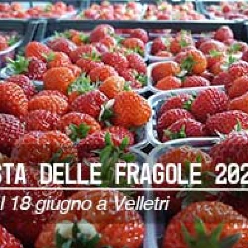 Grande attesa per la Festa della Fragola 2025 nei Castelli Romani: un trionfo di gusto, cultura e tradizione
