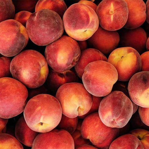 Sagra delle Pesche di Castel Gandolfo: il dolce simbolo dell’estate dei Castelli