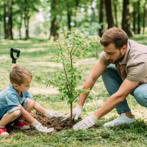 “Un albero per il futuro”: i bambini piantano 2000 nuovi alberi a Cinecittà World