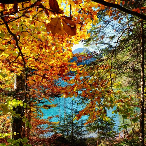 Relax d’autunno sul lago di Albano
