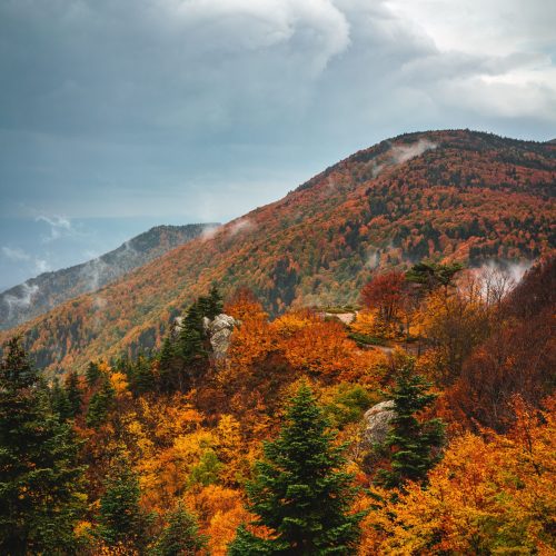 Foliage e percorsi nei Castelli Romani