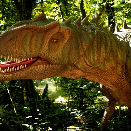 Il Dino Park di Monte Due Torri porta le famiglie alla scoperta della preistoria
