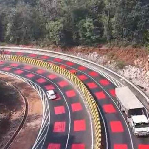 India, una strada rossa per proteggere gli animali selvatici