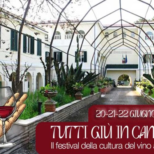 “Tutti giù in Cantina”: il Festival della Cultura del Vino torna a Velletri